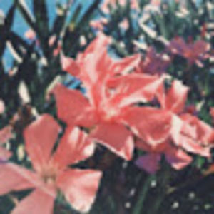 Meet your Posher, Joslyn